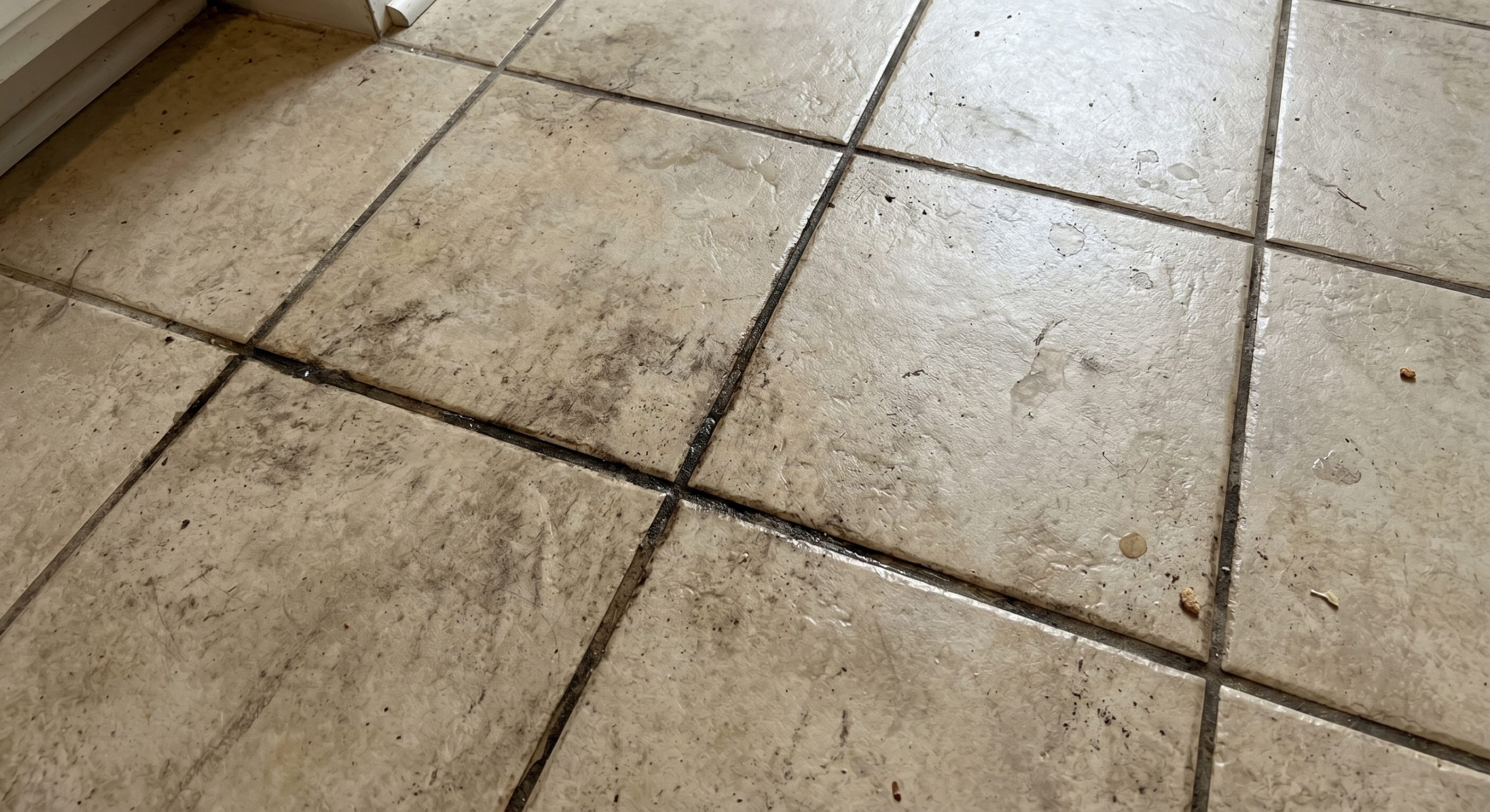 Tile Before Steam Clean